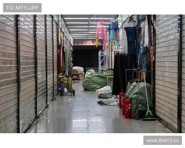 企业家破产背后的深层原因与复苏之道探索 企业家破产背后的深层原因与复苏之道探索