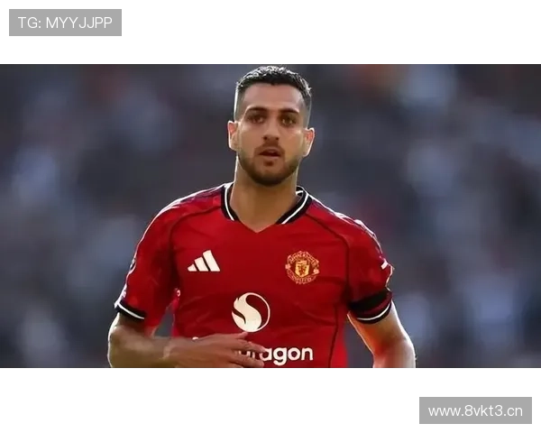 记者曼联力挺达洛特卡里克支持